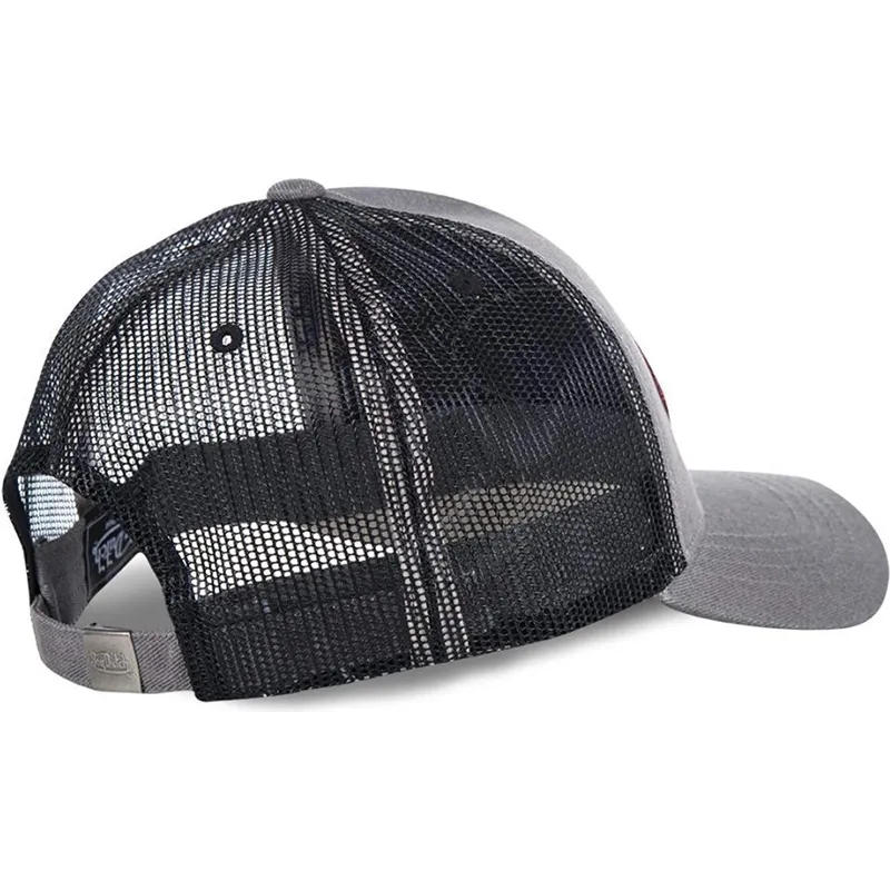 cap-ivelt-siv-snapbek-von-dutch