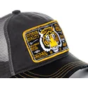 sapkak-ivelt-szurke-snapback-truck13-von-dutch