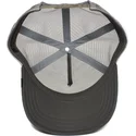 sapkak-ivelt-szurke-snapback-king-of-the-jungle-the-farm-goorin-bros