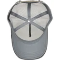sapkak-ivelt-szurke-snapback-eye-of-the-tiger-the-farm-goorin-bros