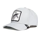 sapkak-ivelt-szurke-snapback-purpurina-believer-the-farm-goorin-bros