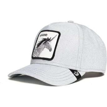sapkak-ivelt-szurke-snapback-purpurina-believer-the-farm-goorin-bros
