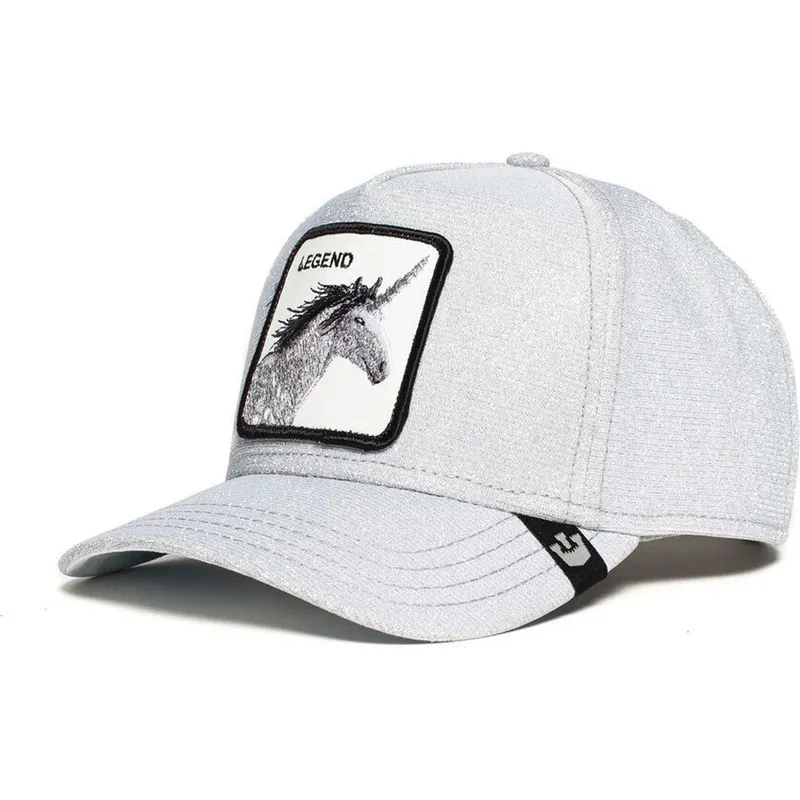 sapkak-ivelt-szurke-snapback-purpurina-believer-the-farm-goorin-bros