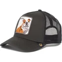 sapkak-ivelt-fekete-snapback-perro-bulldog-butch-the-farm-de-goorin-bros
