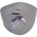 goorin-bros-living-legend-wiederverwendbare-graue-einhorn-maske