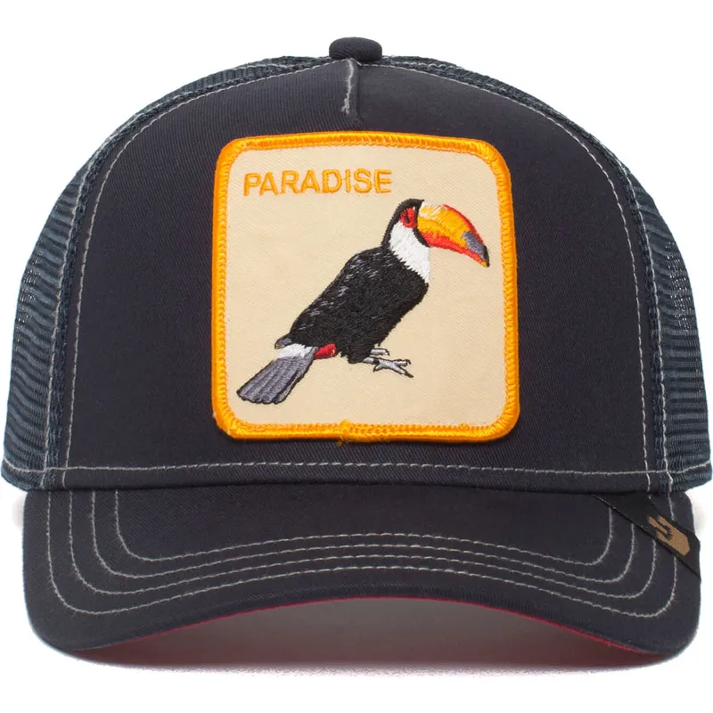 cap-ivelt-tmnosin-snapbek-the-farm-de-goorin-bros