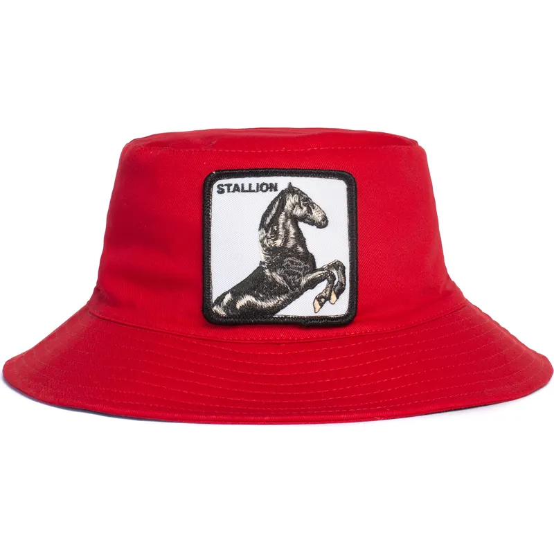 vodrok-piros-stallion-im-a-little-hoarse-the-farm-goorin-bros