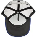 sapkak-ivelt-kek-snapback-wet-clean-cat-the-farm-goorin-bros