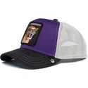 sapkak-ivelt-lila-snapback-sable-sabertooth-the-farm-goorin-bros