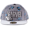 sapkak-lapos-szurke-snapback-true-power-difuzed