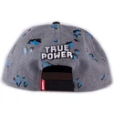 sapkak-lapos-szurke-snapback-true-power-difuzed