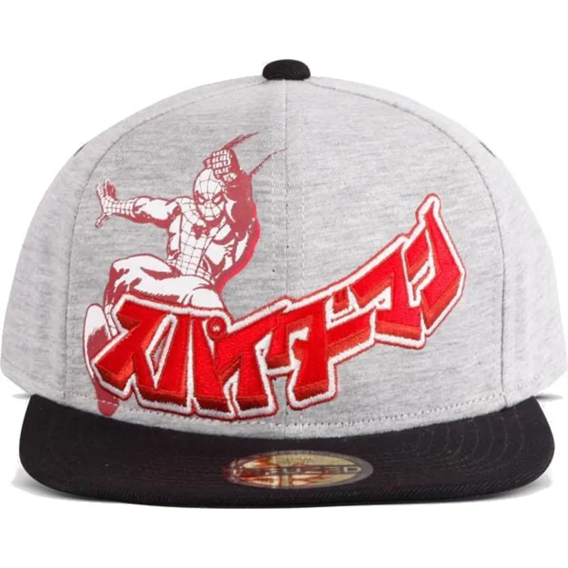 sapkak-lapos-szurke-snapback-japanese-difuzed