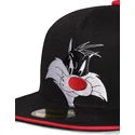 sapkak-lapos-fekete-snapback-space-jam-difuzed