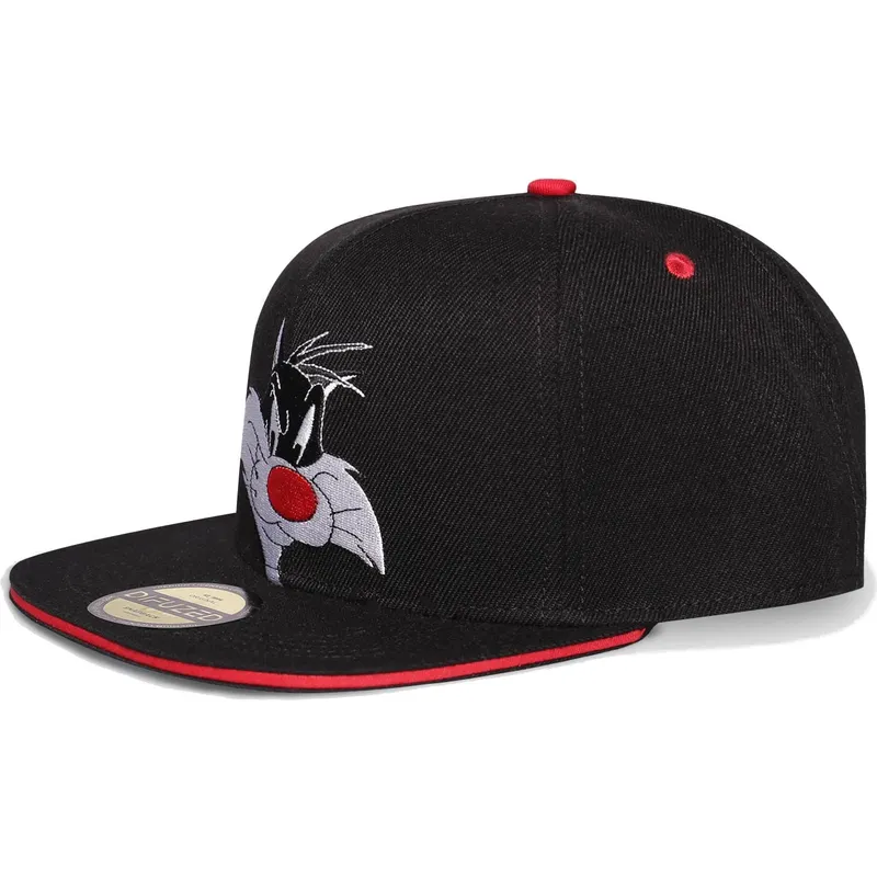 sapkak-lapos-fekete-snapback-space-jam-difuzed sapkak-lapos-fekete-snapback-space-jam-difuzed