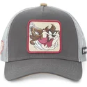 sapkak-ivelt-szurke-snapback-tazmaniai-ordog-looney-tunes-capslab