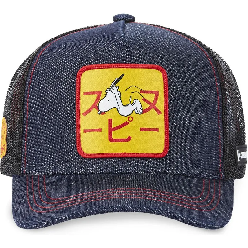 cap-ivelt-tmnosin-snapbek-snoopy-fstci-capslab