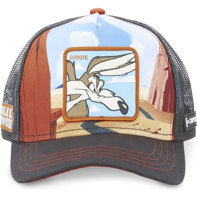 sapkak-ivelt-tobbszinu-snapback-loo5-coy2-kojot-looney-tunes-capslab