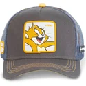 sapkak-ivelt-szurke-snapback-jer2-jerry-looney-tunes-capslab