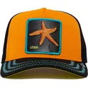trucker-cap-orange-und-schwarz-seestern-baby-i-m-a-star-the-farm-von-goorin-bros