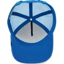 sapkak-ivelt-kek-snapback-the-killer-whale-the-farm-goorin-bros