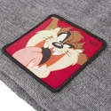 grau-mutze-tasmanischer-teufel-bon-taz2-looney-tunes-von-capslab