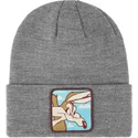 sapkak-szurke-bon-coy2-kojot-looney-tunes-capslab