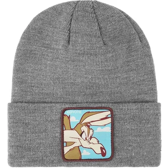 Sapkák szürke Coyote BON COY2 Looney Tunes Kojot Looney Tunes Capslab