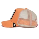 sapkak-ivelt-rozsaszin-snapback-the-panther-the-farm-goorin-bros