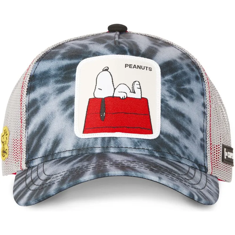 cap-ivelt-tmnosin-snapbek-snoopy-fstci-capslab