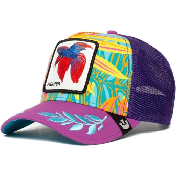 sapkak-ivelt-lila-snapback-siam-fighter-even-betta-the-farm-goorin-bros