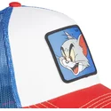 sapkak-ivelt-tobbszinu-snapback-to8-tom-looney-tunes-capslab