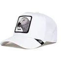 sapkak-ivelt-feher-snapback-platinum-word-the-farm-goorin-bros