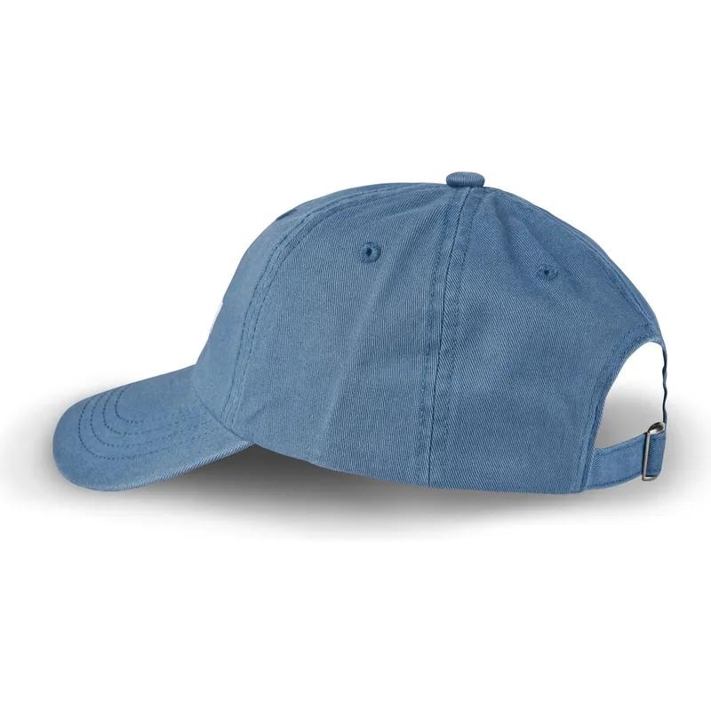 sapkak-ivelt-kek-allithato-dc-bl-von-dutch