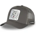 sapkak-ivelt-szurke-snapback-tom-looney-tunes-capslab