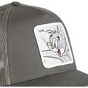sapkak-ivelt-szurke-snapback-tom-looney-tunes-capslab