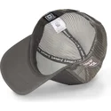 sapkak-ivelt-szurke-snapback-tom-looney-tunes-capslab