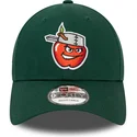 sapkak-ivelt-zold-allithato-9forty-minor-league-fort-wayne-tincaps-milb-new-era