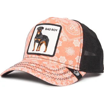 Sapkák ívelt rózsaszín snapback perro rottweiler Bad Boy Lovesexy The Farm Paisley The Farm de Goorin Bros.