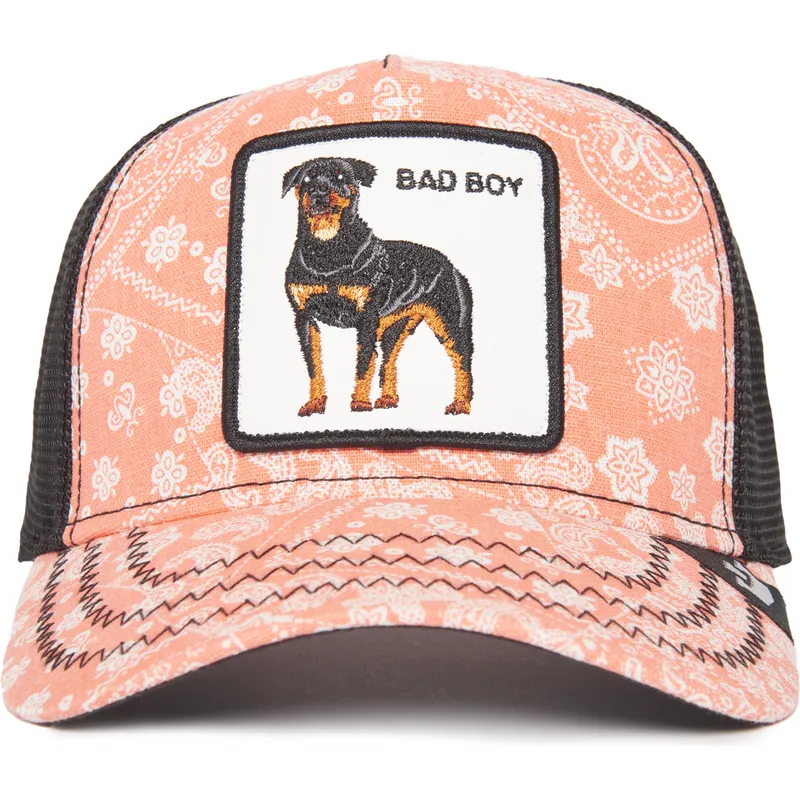 sapkak-ivelt-rozsaszin-snapback-bad-boy-lovesexy-the-farm-paisley-the-farm-goorin-bros