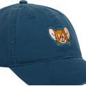 sapkak-ivelt-kek-allithato-mou-jerry-looney-tunes-capslab