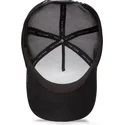cap-ivelt-cheren-snapbek-the-farm-de-goorin-bros
