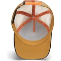sapkak-ivelt-barna-snapback-the-wildcat-tiger-big-cats-the-farm-goorin-bros