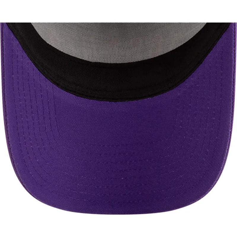 cap-ivelt-violetka-snapbek-a-frame-classic-toronto-raptors-nba-new-era