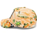 cap-ivelt-kafyav-snapbek-the-farm-de-goorin-bros