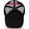 cap-ivelt-cheren-snapbek-the-farm-de-goorin-bros