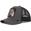 sapkak-ivelt-szurke-snapback-ape-bay-bay-primal-global-core-the-farm-goorin-bros