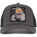 sapkak-ivelt-szurke-snapback-ape-bay-bay-primal-global-core-the-farm-goorin-bros