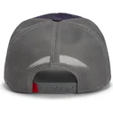 sapkak-ivelt-lila-snapback-goorin-bros-beat-dead-horse-horse-play-the-farm-purple-hat-the-farm-de-goorin-bros