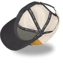 cap-ivelt-mnogocveten-snapbek-von-dutch