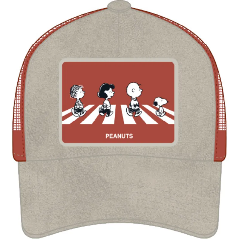 sapkak-ivelt-szurke-snapback-pea5-pea-foldimogyoro-capslab